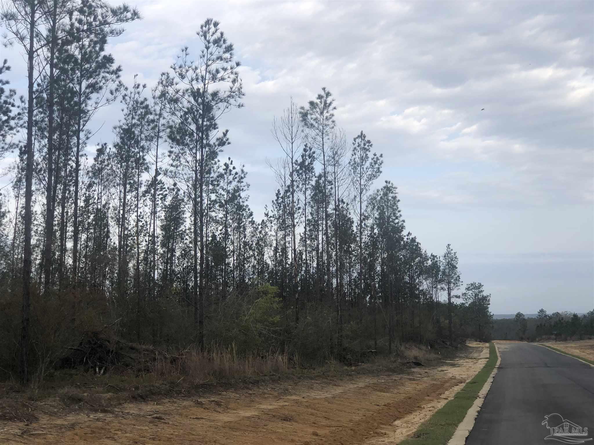 3 Molino Bridge Road Pace, FL 32571 - Photo 3 of 4