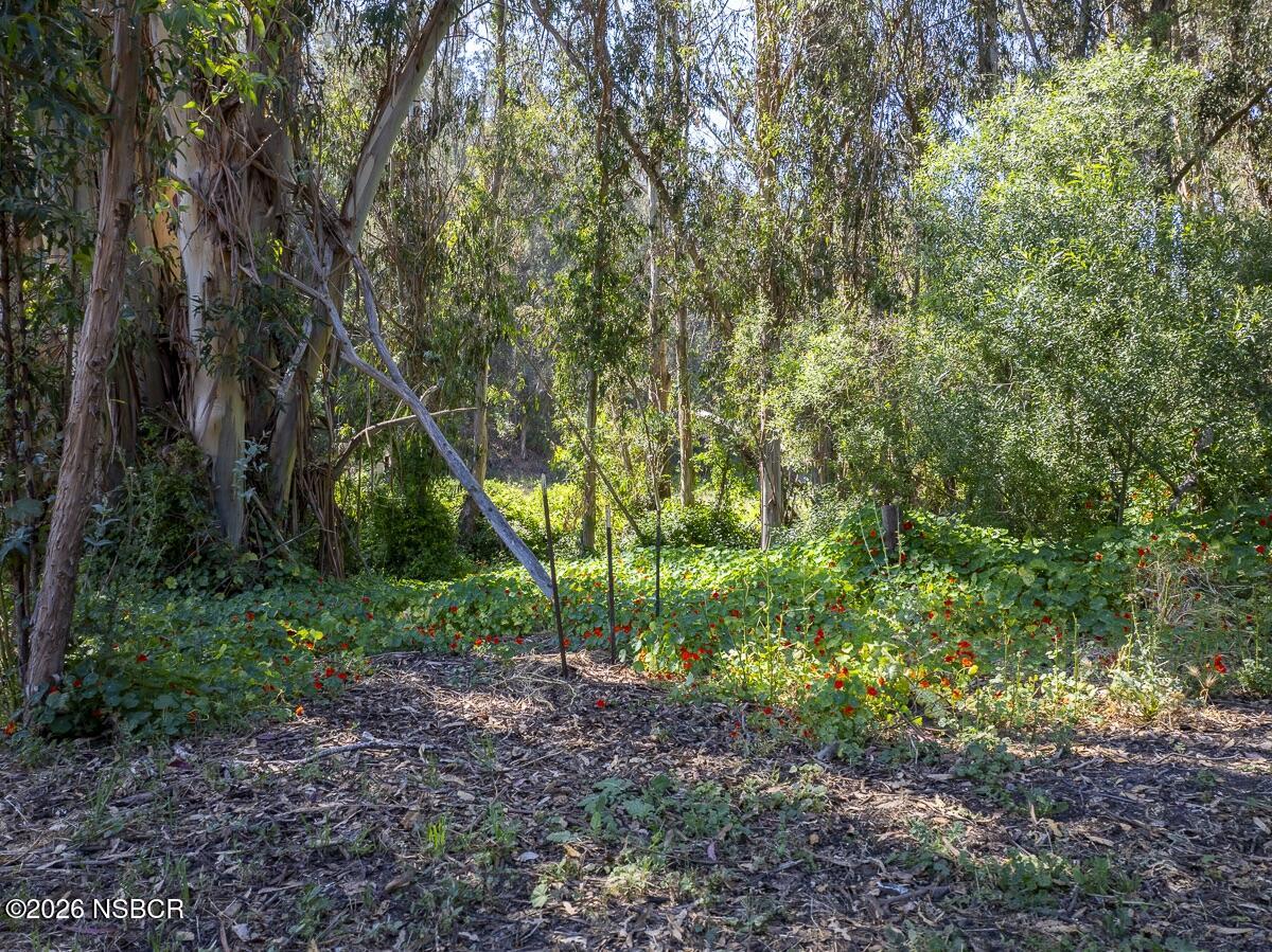 870 Lasalle Canyon Road Lompoc, CA 93436 - Photo 36 of 45 LaSalle Canyon - Web-36