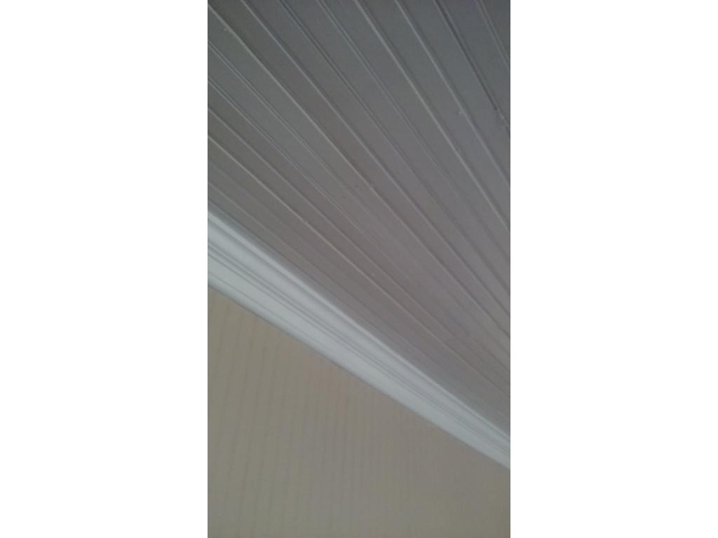 830 Blue Springs Road Elizabethton, TN 37643 - Photo 10 of 12 ceiling