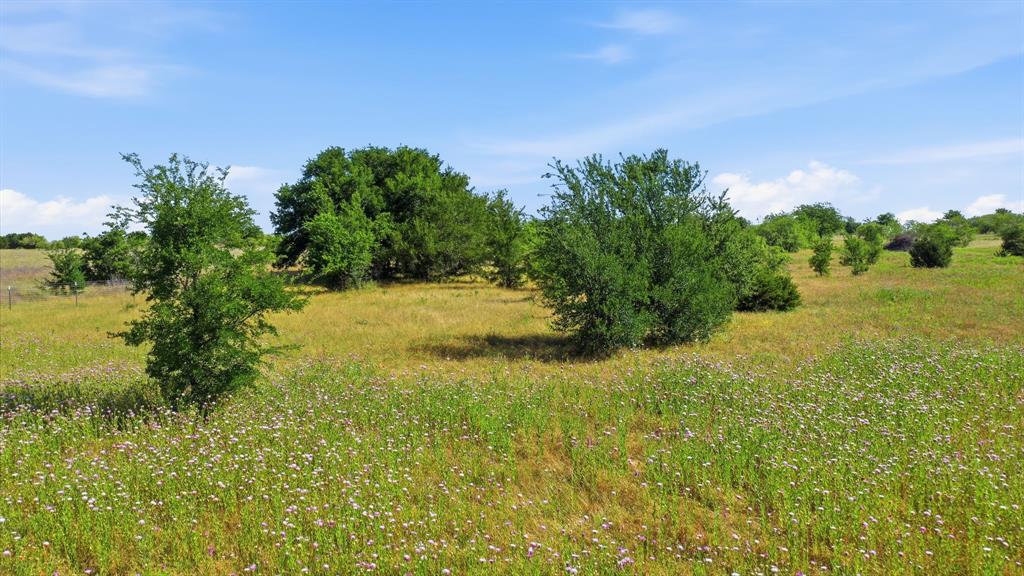 106 Private 191 Road Blum, TX 76627 - Photo 10 of 12