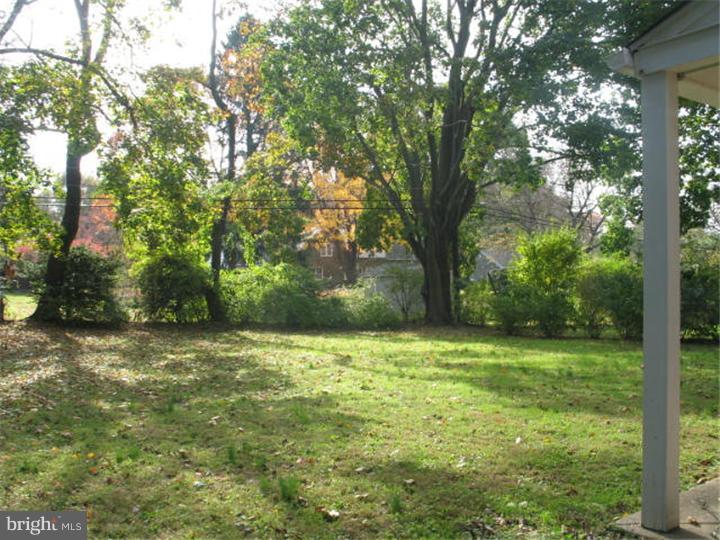 118 Wetherill Road Cheltenham, PA 19012 - Photo 3 of 16 Back Yard