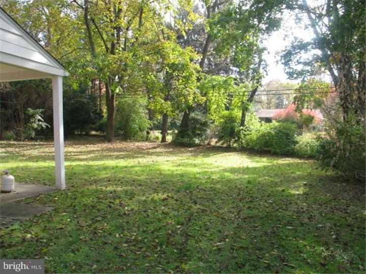 118 Wetherill Road Cheltenham, PA 19012 - Photo 5 of 16 Back Yard