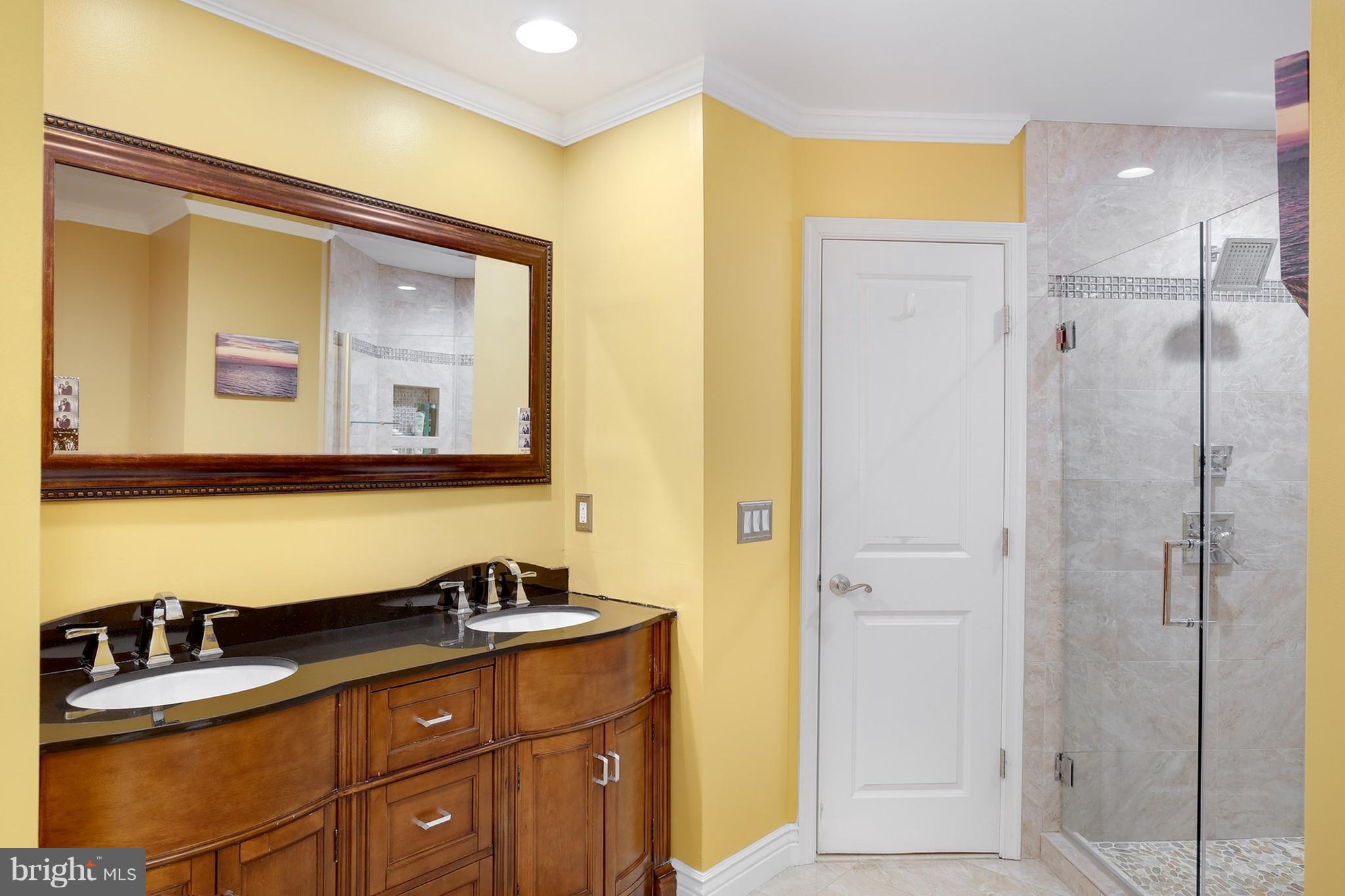 9137 Ribbon Falls Loop Bristow, VA 20136 - Photo 25 of 30 Bath (Master)
