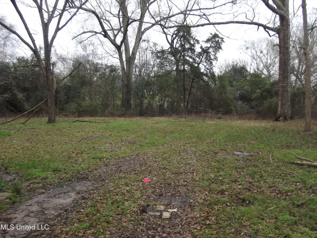 $45,900 | 132 Mt Carmel Drive, Natchez, MS 39120