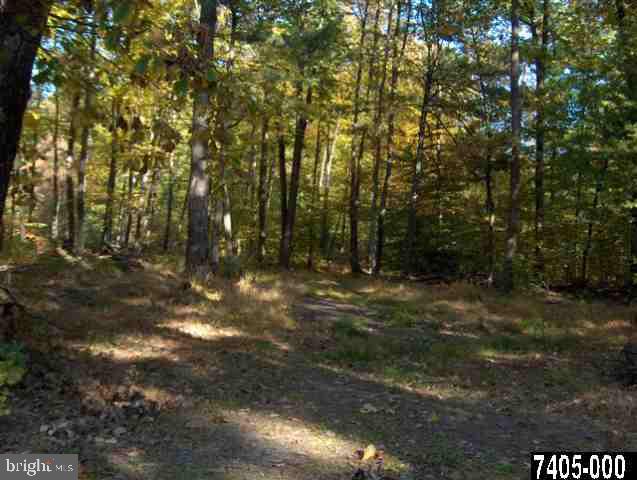Lot 2 Township Line Road, Unit 2 York Springs, PA 17372 - Photo 3 of 3 Gallery Image 3