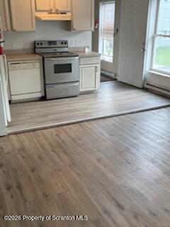 114 Prospect Avenue, Unit 2 Scranton, PA 18505 - Photo 7 of 10 Kitchen