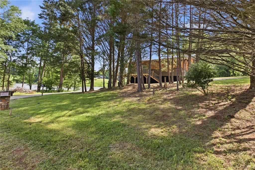 456 Oak Springs Road Clarkesville, GA 30523 - Photo 39 of 52
