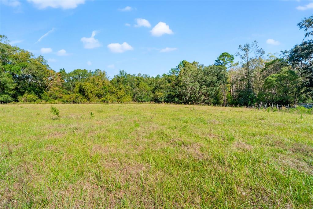 22325 Whitman Road Brooksville, FL 34601 - Photo 27 of 30 Gallery Image 27