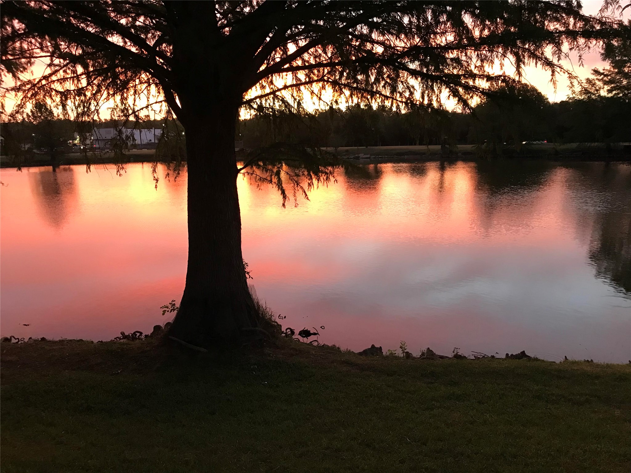 1120 Vance Street Taylor, TX 76574 - Photo 39 of 40 Murphy Lake Park at sunset