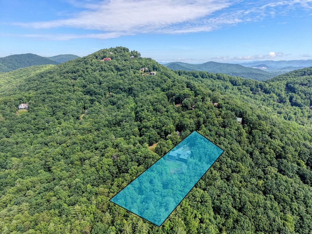 237 Flat Rock Ridge Road Blairsville, GA 30512 - Photo 2 of 75