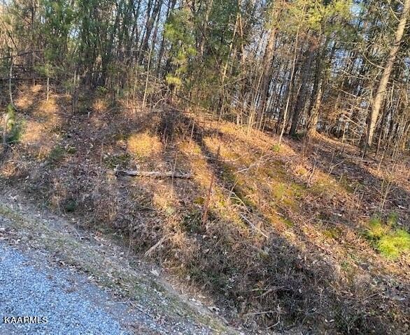 26 Pleasant Valley Road Cosby, TN 37722 - Photo 10 of 11