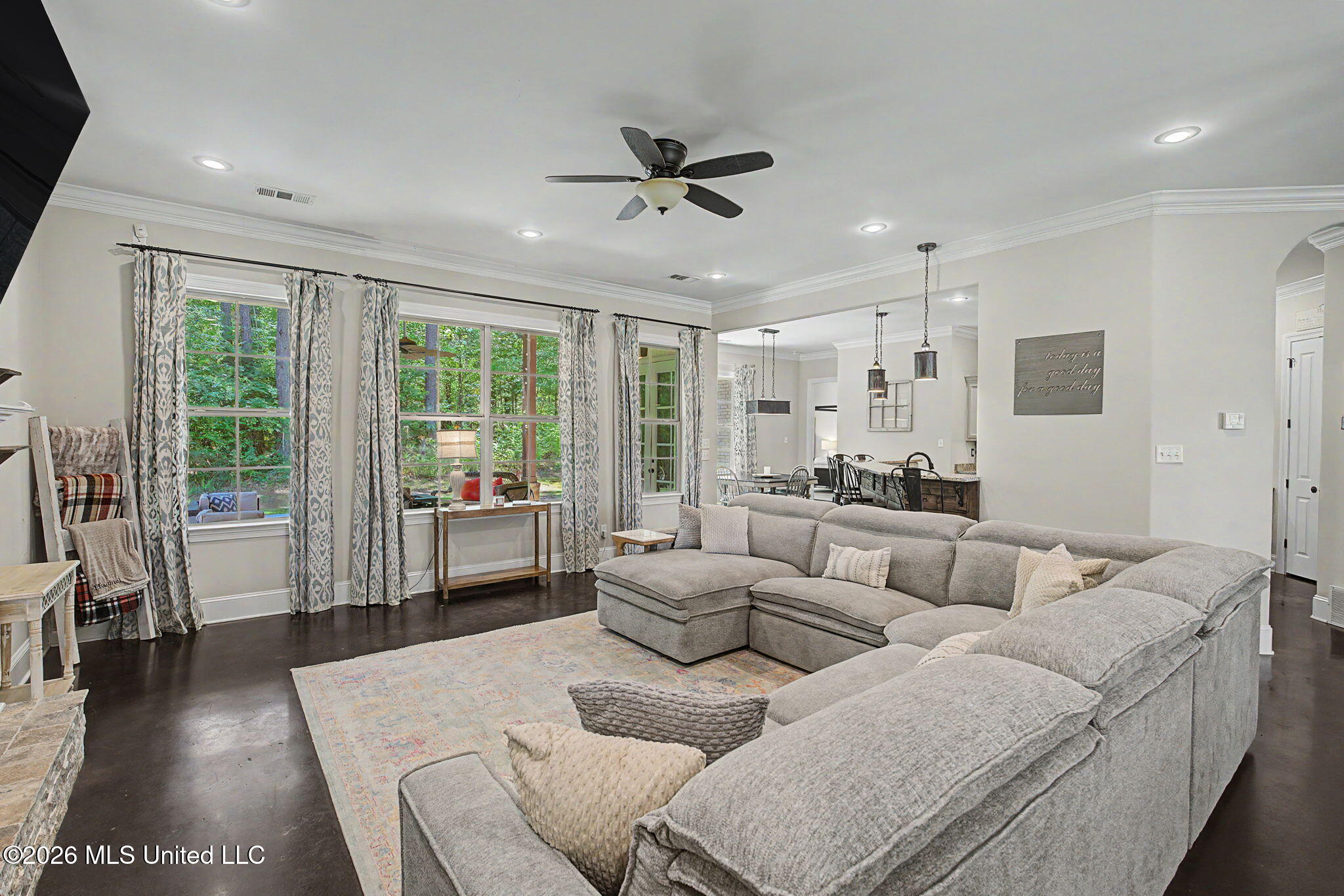 223 Fawn Cove Hernando, MS 38632 - Photo 11 of 53 Natural lighting