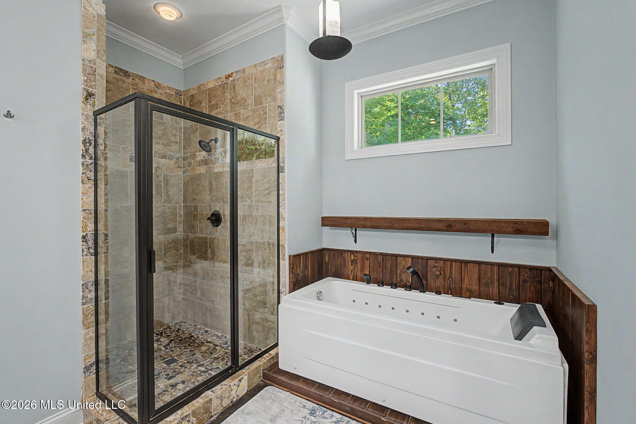 223 Fawn Cove Hernando, MS 38632 - Photo 22 of 53 Jetted Saoker tub