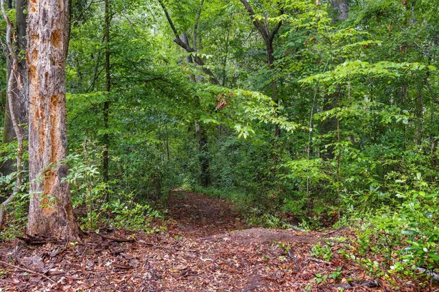 $225,000 | 3700 Honey Bee Point, Tallahassee, FL 32309