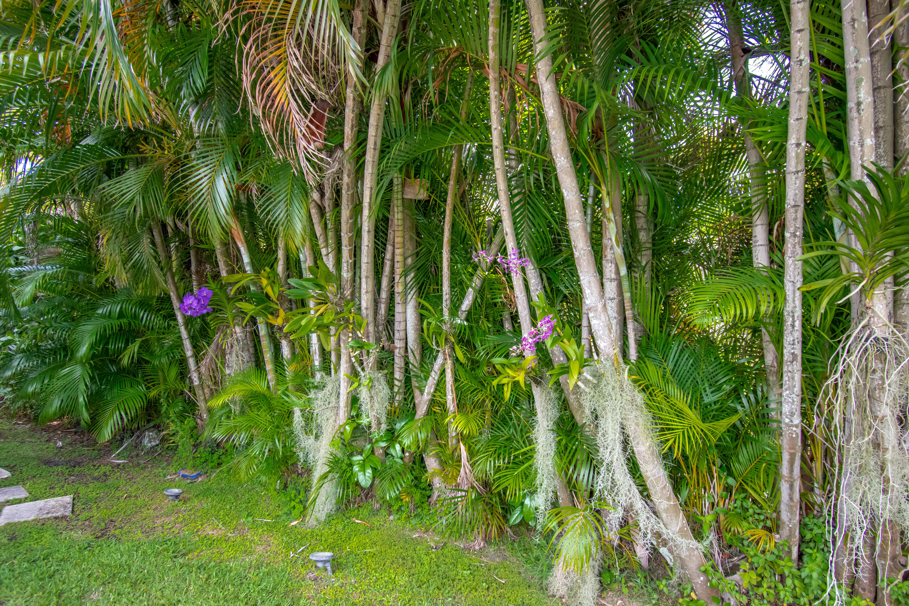 2653 Northwest 46th Street Boca Raton, FL 33434 - Photo 62 of 75 8F334B25-BB63-4BDA-AA49-EE56F97001C0
