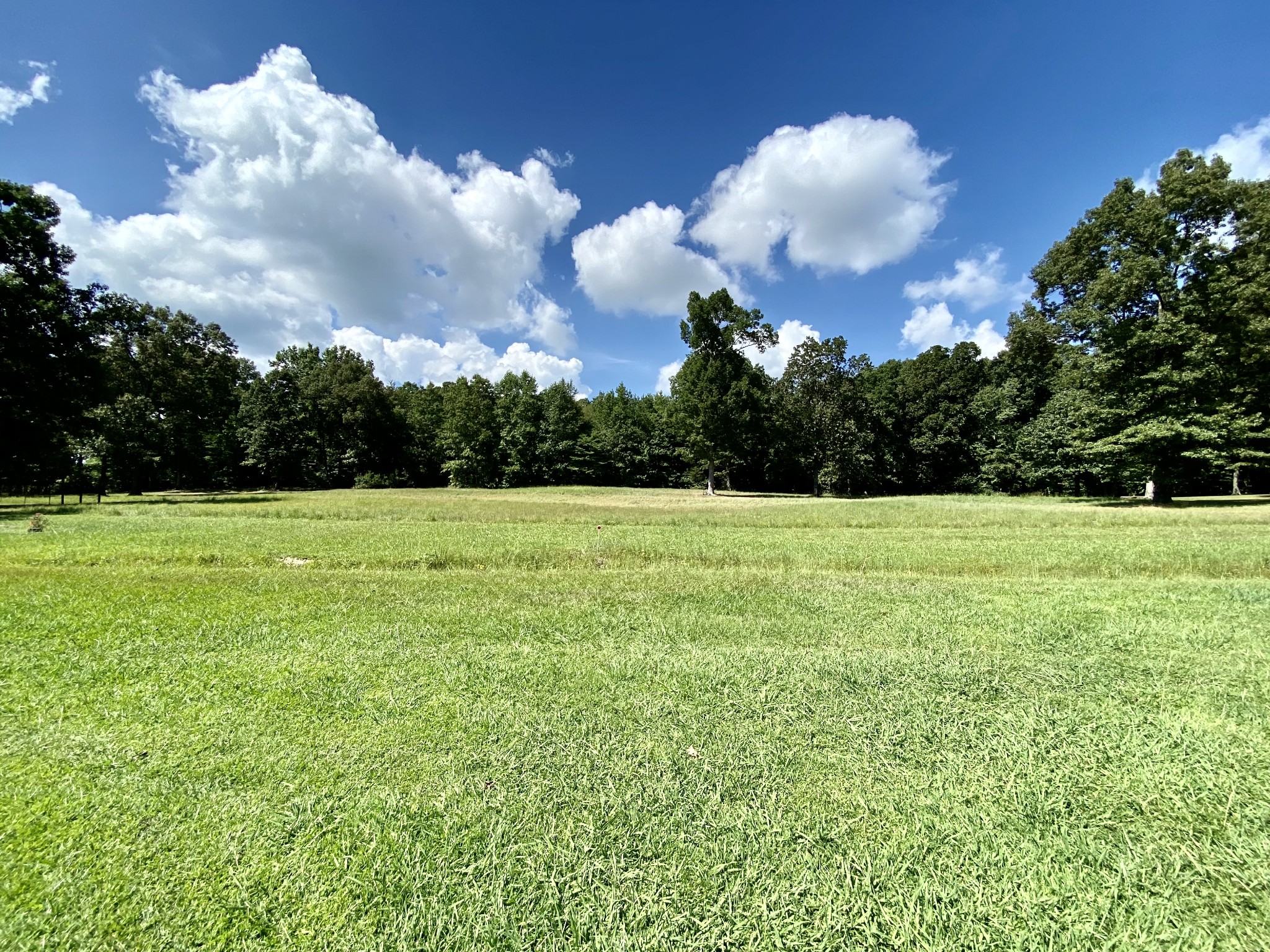 399 C Rody Road McMinnville, TN 37110 - Photo 6 of 48 Gallery Image 6