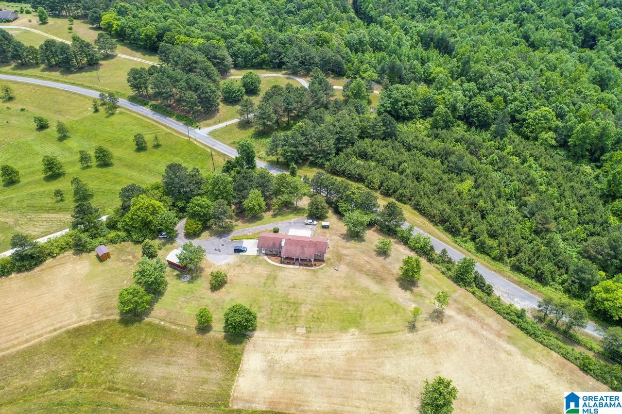1220 Hicks Road Oneonta, AL 35121 - Photo 43 of 47 Gallery Image 43