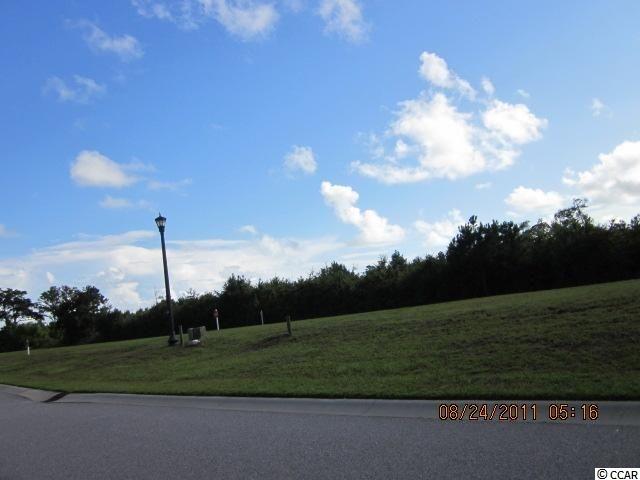 Lot 150 Tarpon Pond Road North Myrtle Beach, SC 29582 - Photo 1 of 2 Gallery Image 1