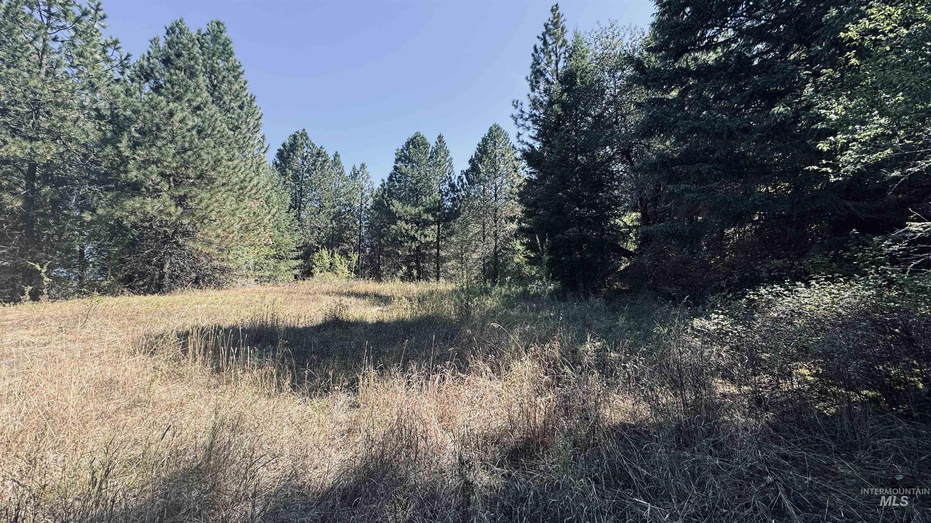 Tbd Dalton Acres Road Stites, ID 83552 - Photo 2 of 50 Gallery Image 2