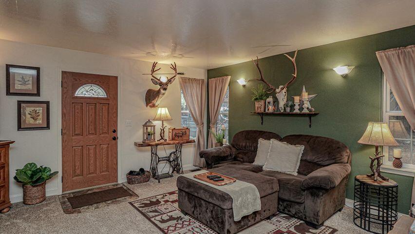 309 Red Blanket Road Prospect, OR 97536 - Photo 38 of 47 20220330160707914528000000-o