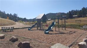 1428 South Crystal Road Lake George, CO 80827 - Photo 31 of 35 a view of outdoor space with playground and green space