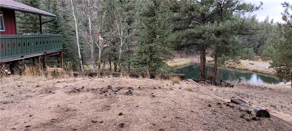 1428 South Crystal Road Lake George, CO 80827 - Photo 35 of 35 a view of a pathway with a yard