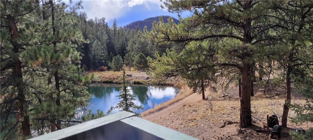 1428 South Crystal Road Lake George, CO 80827 - Photo 5 of 35 a view of a lake with a trees