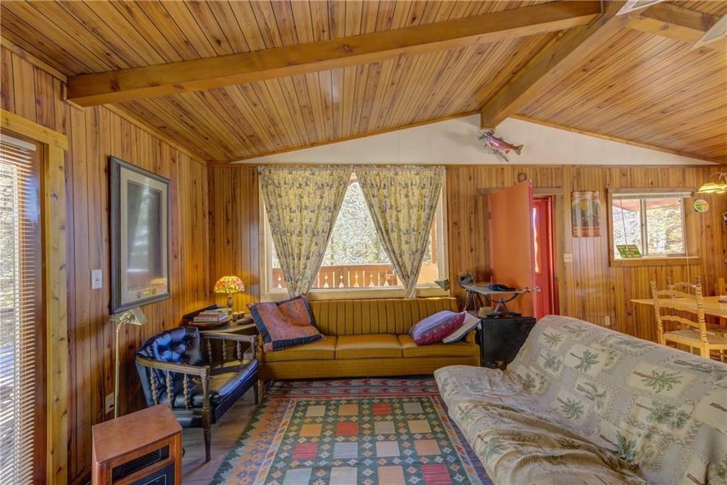 1428 South Crystal Road Lake George, CO 80827 - Photo 6 of 35 a living room with furniture and a window