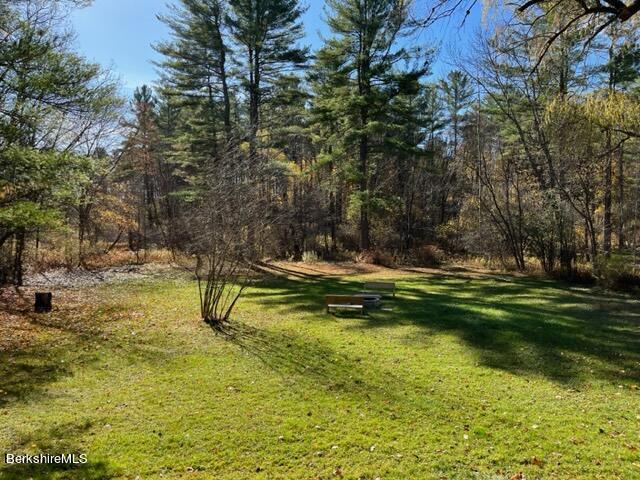 37 Hancock Road Pittsfield, MA 01201 - Photo 28 of 32 Fire Pit & Yard