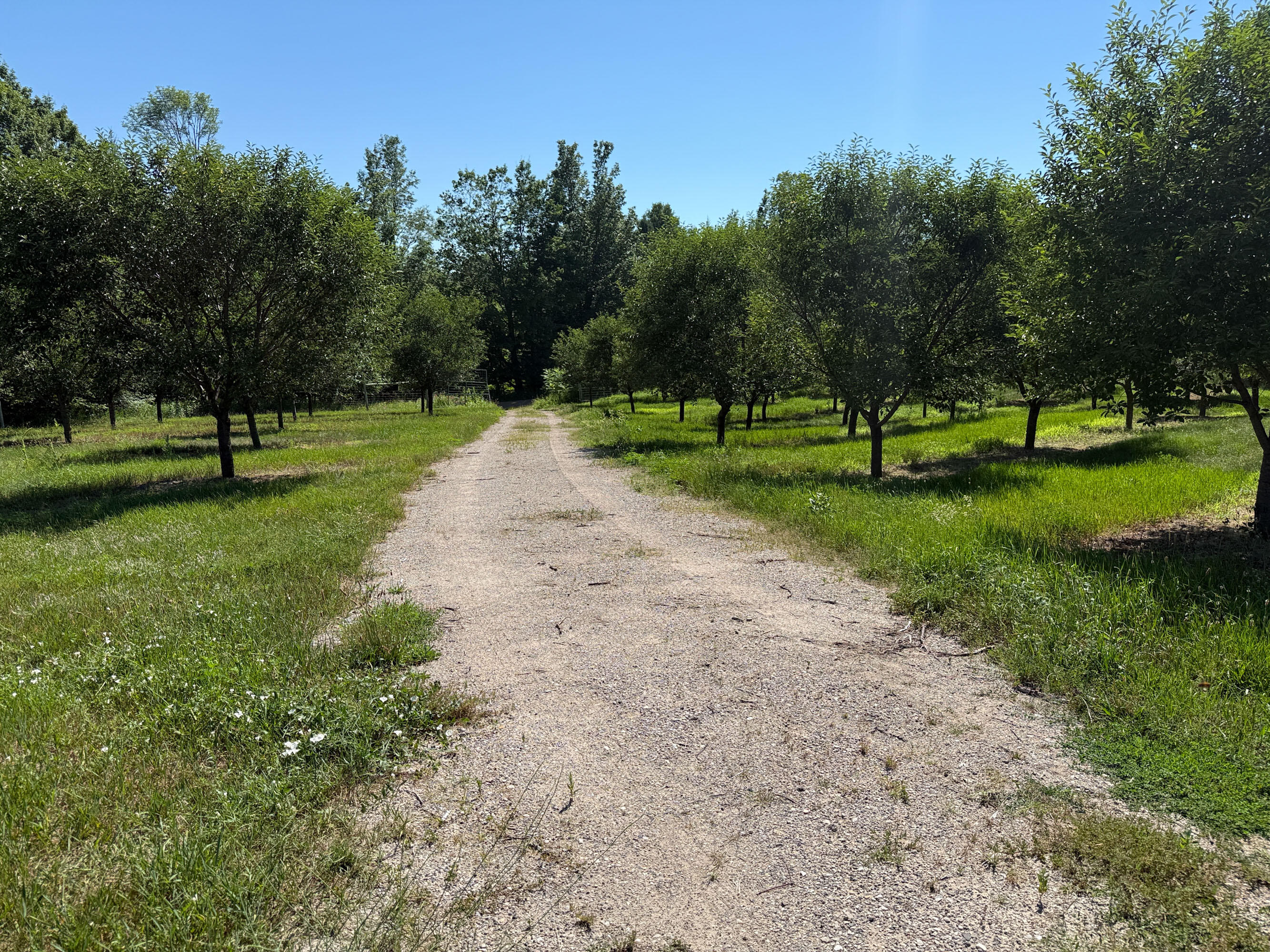 Vl East Taylor Road Hart, MI 49420 - Photo 8 of 11 White Woods-10