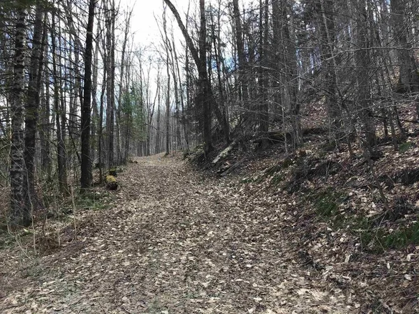 $142,500 | 0 Williamstown Road, Williamstown, VT 05679