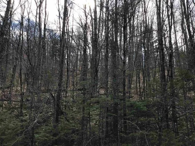 $142,500 | 0 Williamstown Road, Williamstown, VT 05679