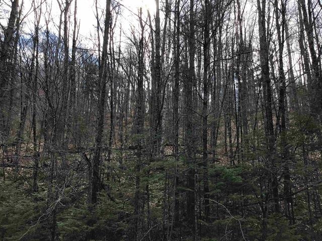 0 Williamstown Road Williamstown, VT 05679 - Photo 2 of 3