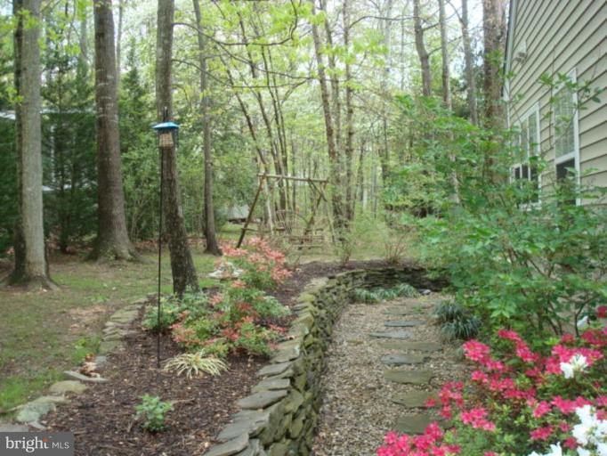 405 Happy Creek Road Locust Grove, VA 22508 - Photo 9 of 30 Back yard