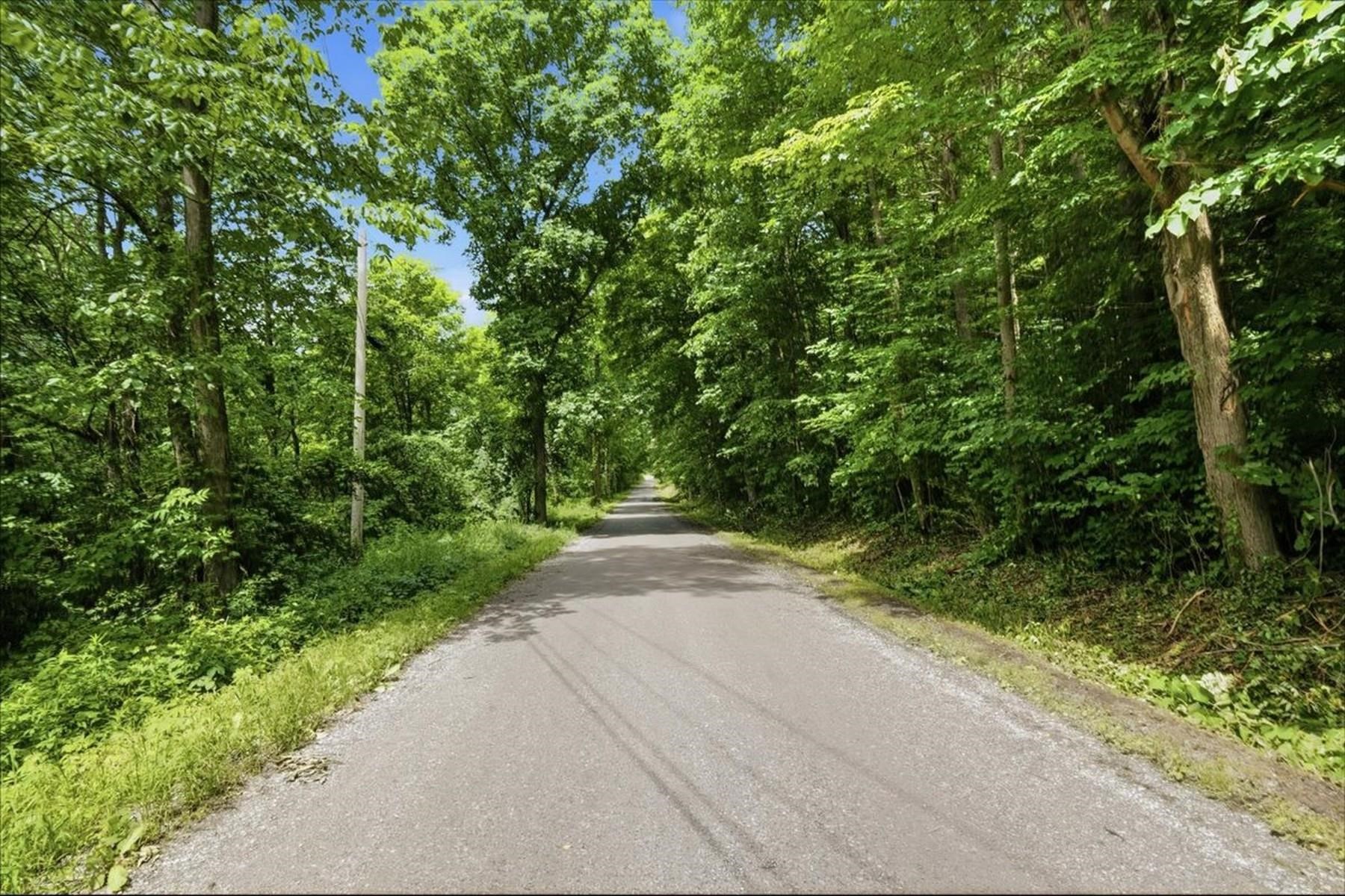 1870 Shacksboro Road, Unit LOT 1 Shoreham, VT 05770 - Photo 15 of 16