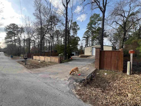 a view of backyard and tree