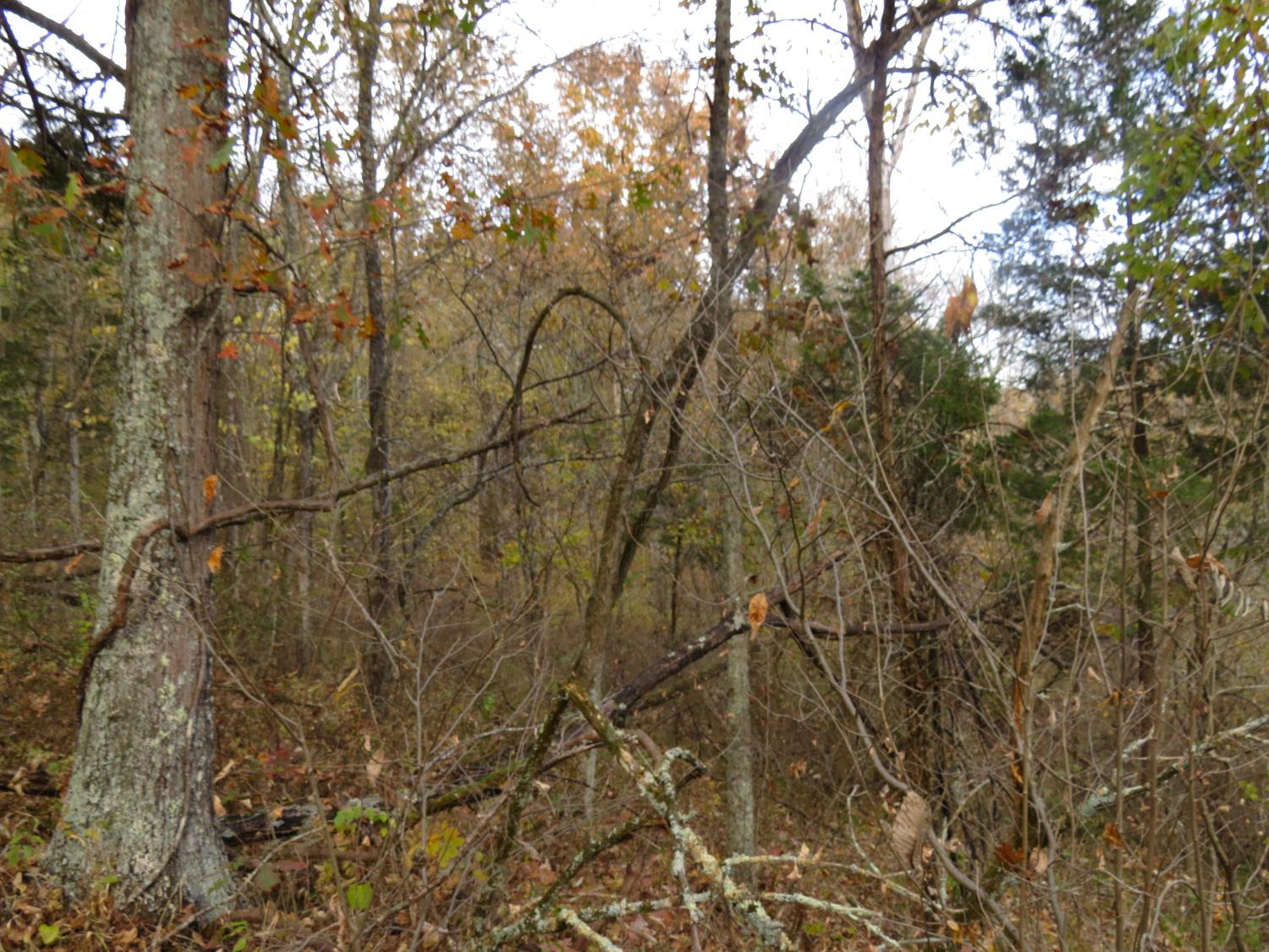 7135 Upper Dry Fork Road Madison, IN 47250 - Photo 19 of 23