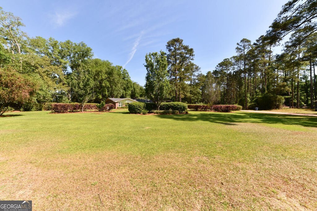 39 Adams Street Jesup, GA 31545 - Photo 3 of 50