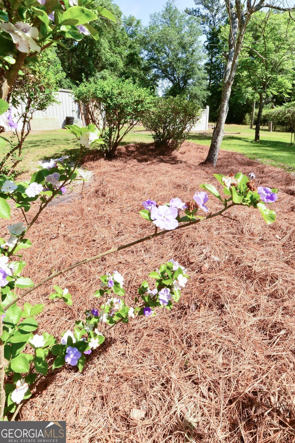 39 Adams Street Jesup, GA 31545 - Photo 4 of 50