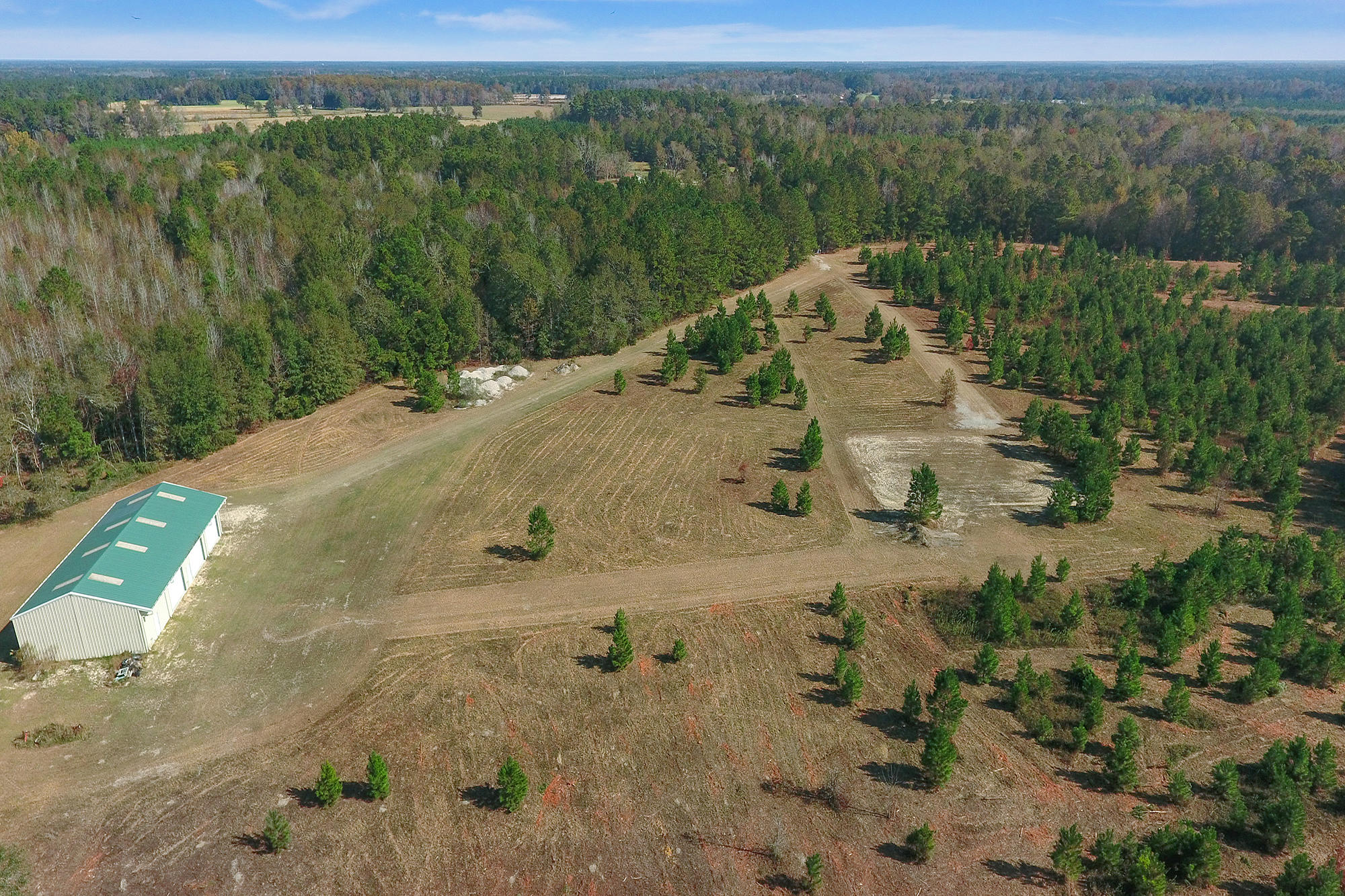 269 Cliffton Drive Reevesville, SC 29471 - Photo 1 of 11 37