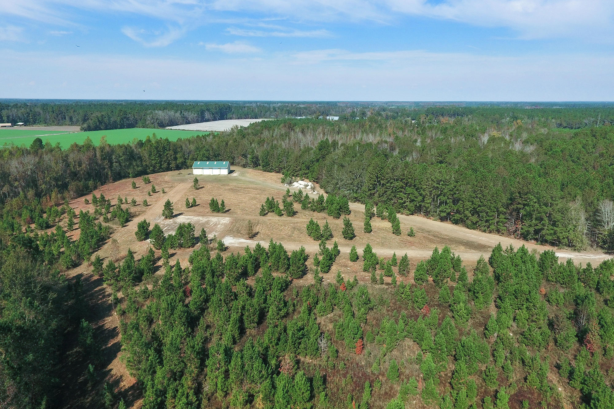 269 Cliffton Drive Reevesville, SC 29471 - Photo 11 of 11 33