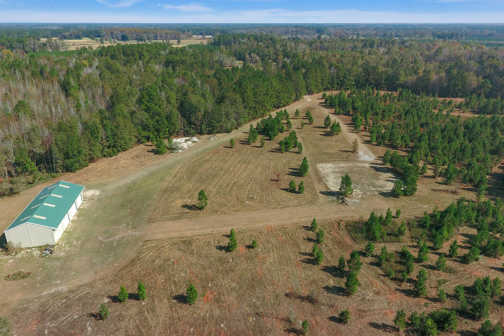 269 Cliffton Drive Reevesville, SC 29471 - Photo 3 of 11 37