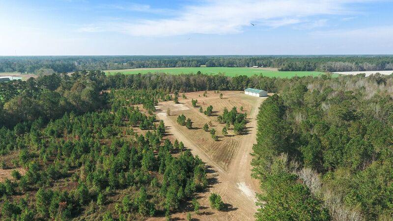 269 Cliffton Drive Reevesville, SC 29471 - Photo 5 of 11 Pad and building