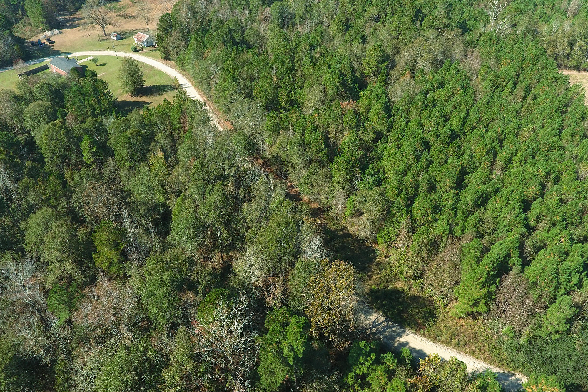 269 Cliffton Drive Reevesville, SC 29471 - Photo 7 of 11 22