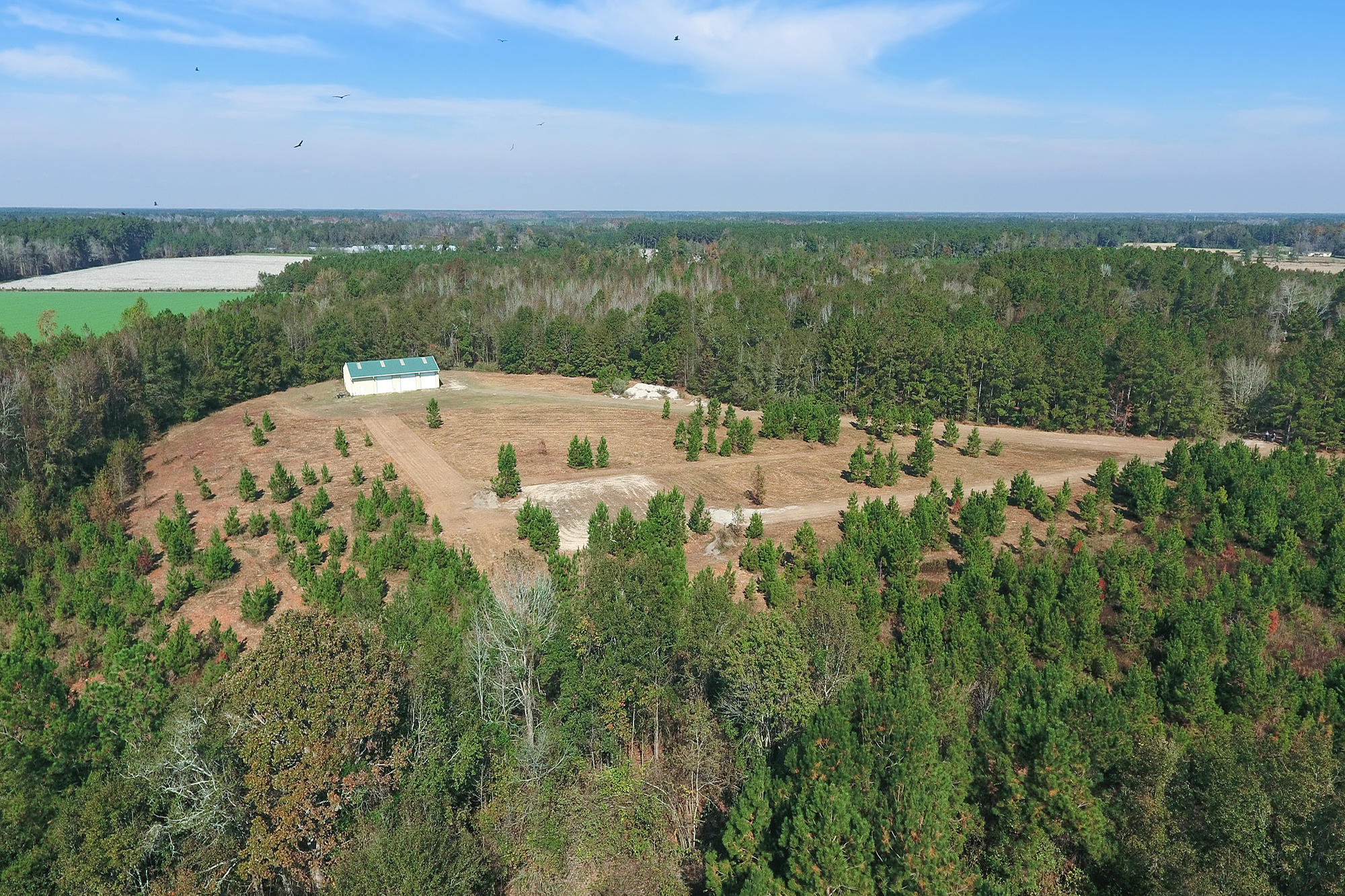 269 Cliffton Drive Reevesville, SC 29471 - Photo 8 of 11 34