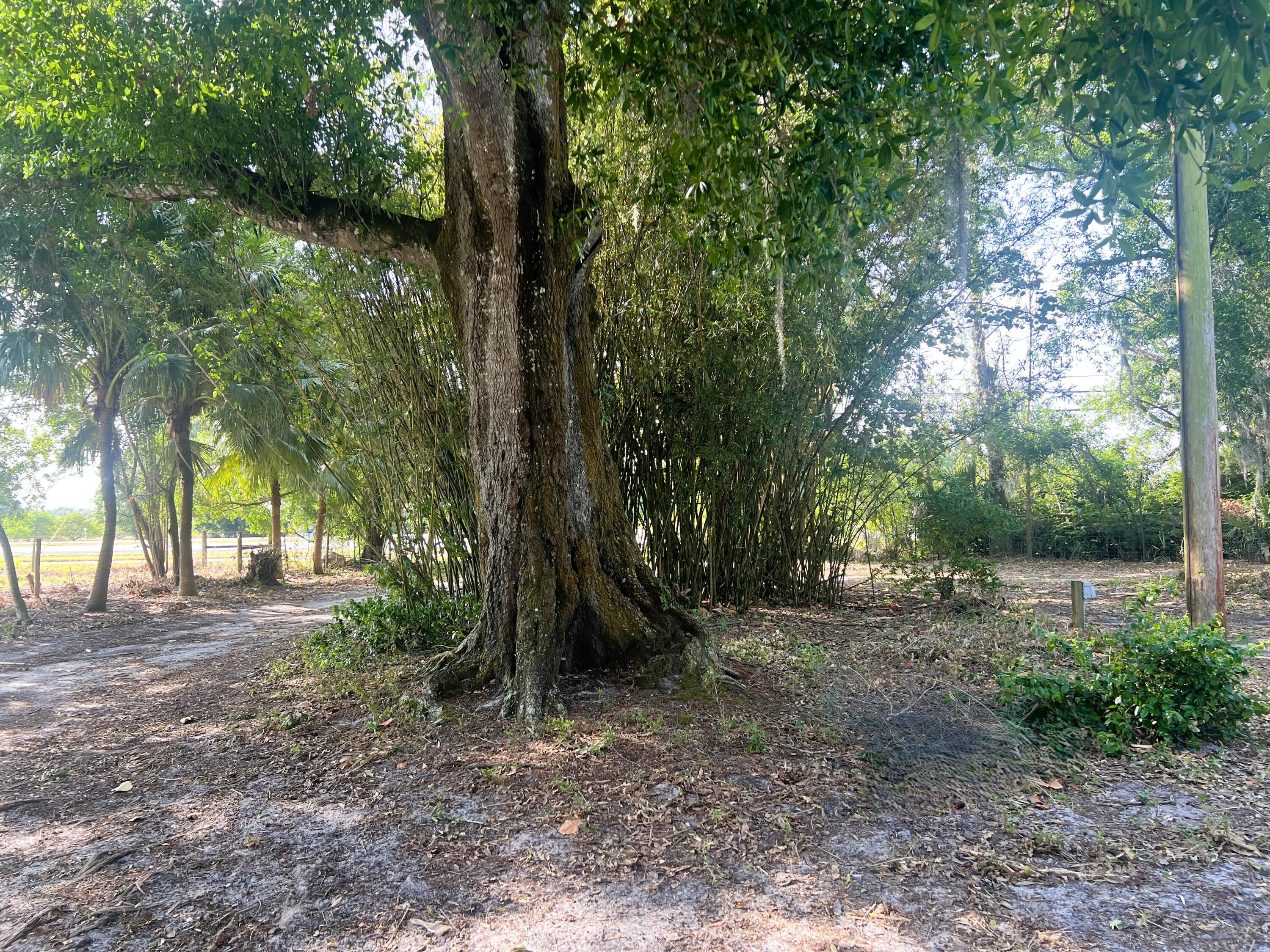 8170 Okeechobee Road Fort Pierce, FL 34945 - Photo 12 of 12 Front yard