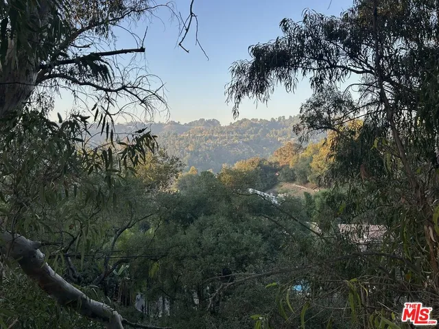 a view of a yard with a tree in the background