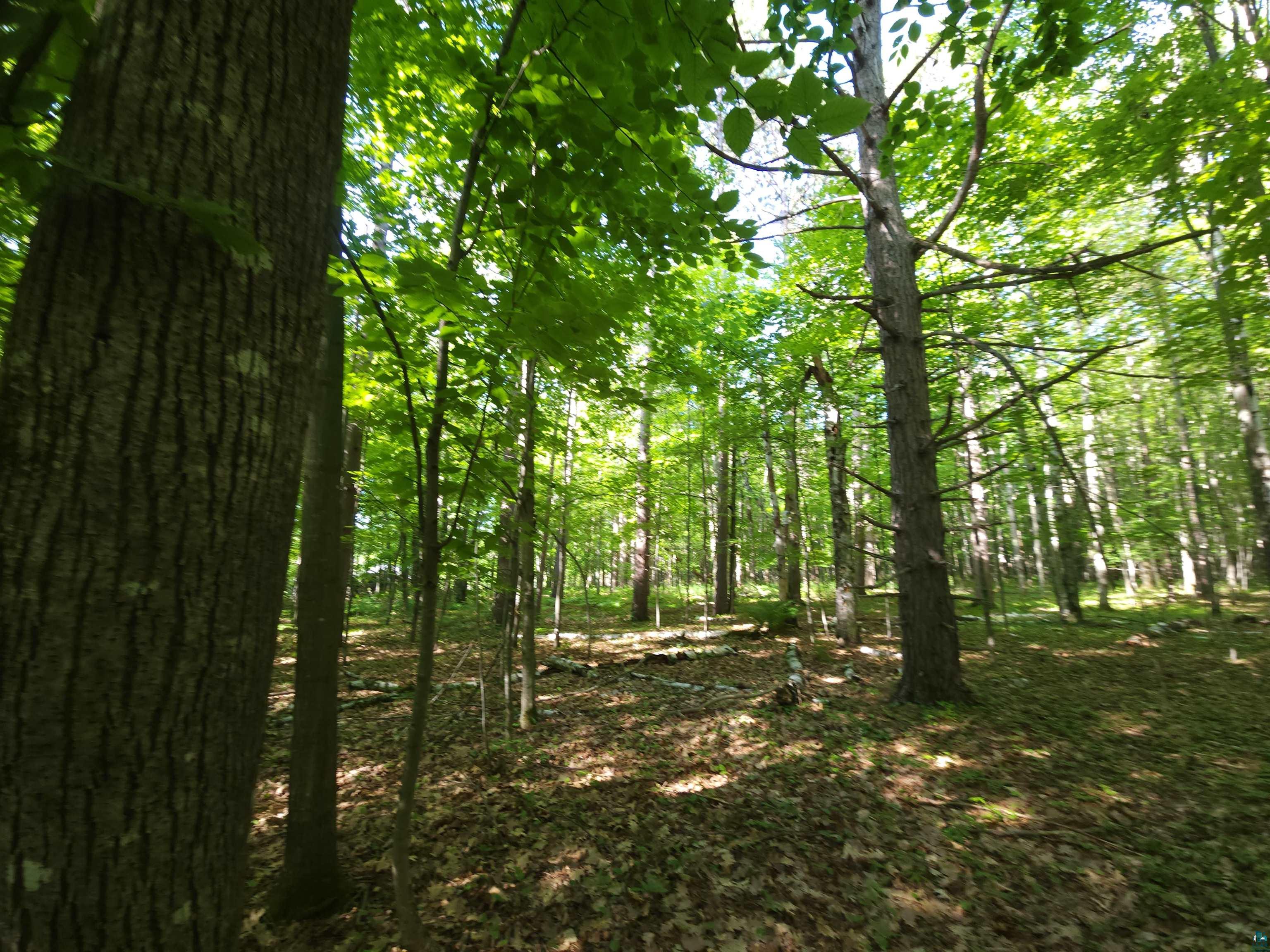30-xxx Sky Road Washburn, WI 54891 - Photo 4 of 6