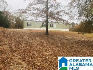 705 County Road 402 Clanton, AL 35045 - Photo 2 of 13