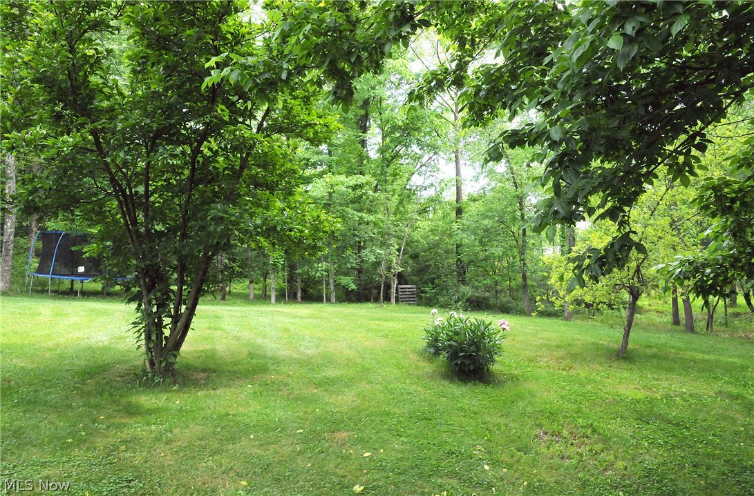 59504 Meadowlark Road Senecaville, OH 43780 - Photo 33 of 35